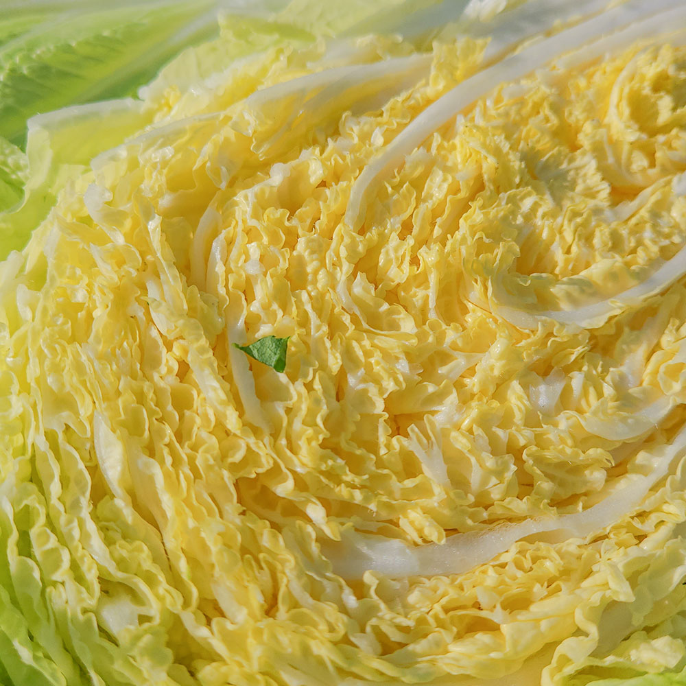 친근하게 즐기는 유기농 절임배추와 천일염, 농장에서 바로 만나요!