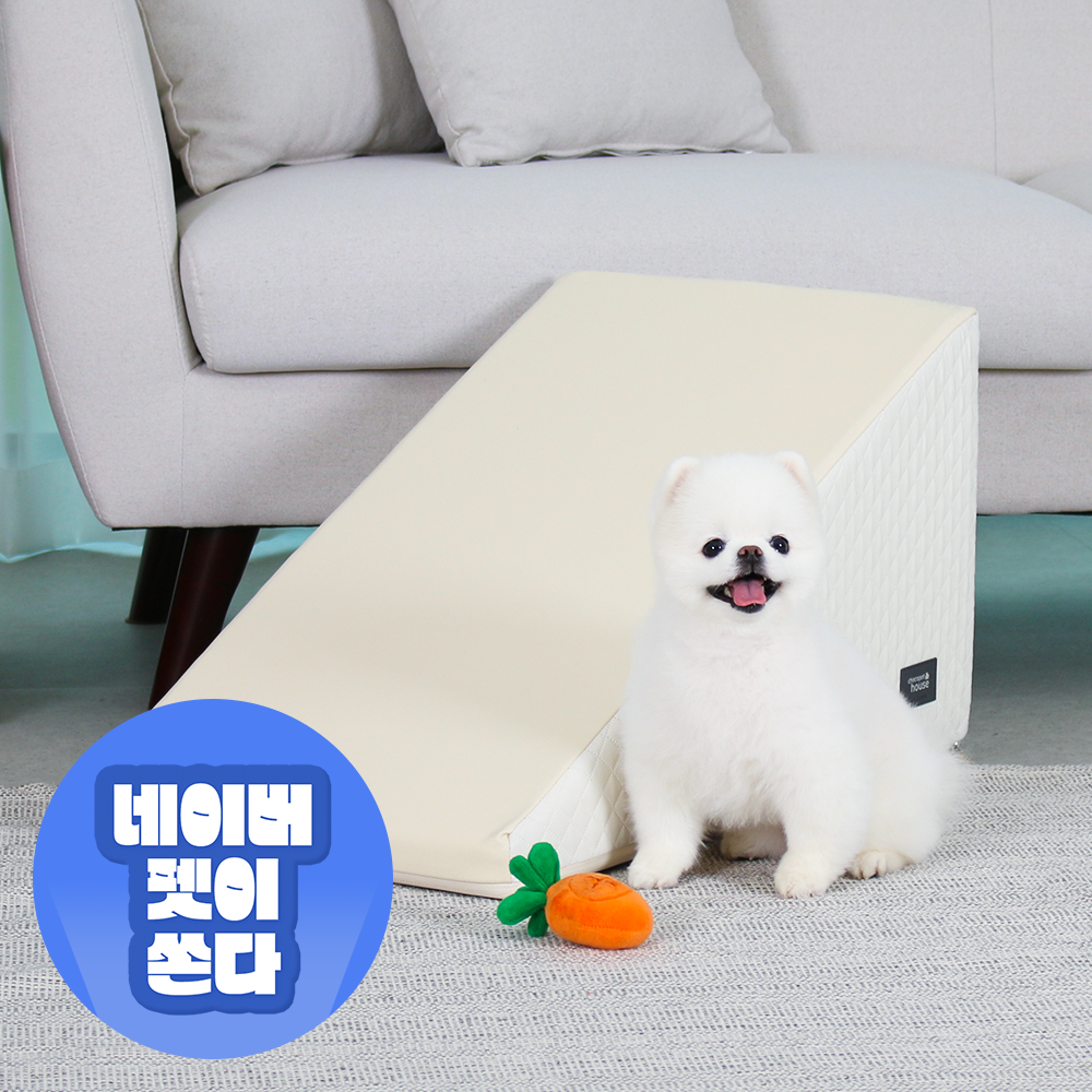 강아지 계단, 집에서도 쉽게 사용할 수 있는 논슬립 스텝 추천!