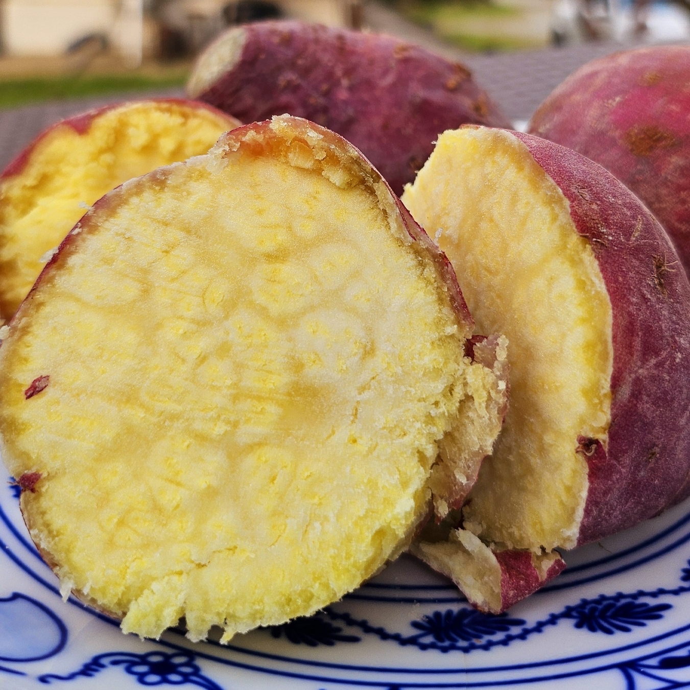 익산에서 만나는 달콤한 밤고구마, 신선하고 저렴하게 즐기기