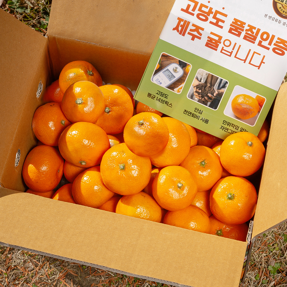 제주도 감귤 선물세트, 달콤한 향과 신선함이 가득한 추천 아이템!