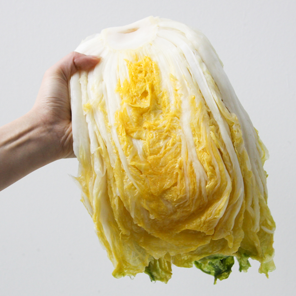 친근하게 다가가는 절임배추 이야기, 지금 바로 알아보세요!