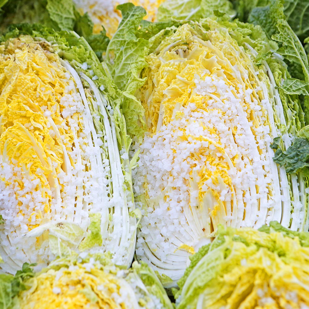 친근하게 즐기는 전라도 해남의 절임배추, 김장철 필수템!