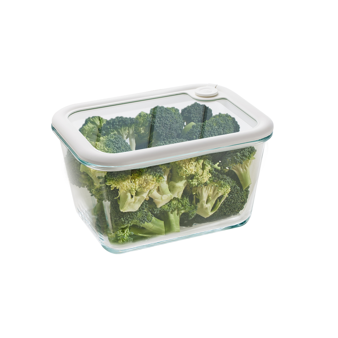 가정이나 사무실에서 유용한 내열 유리 밀폐용기 추천