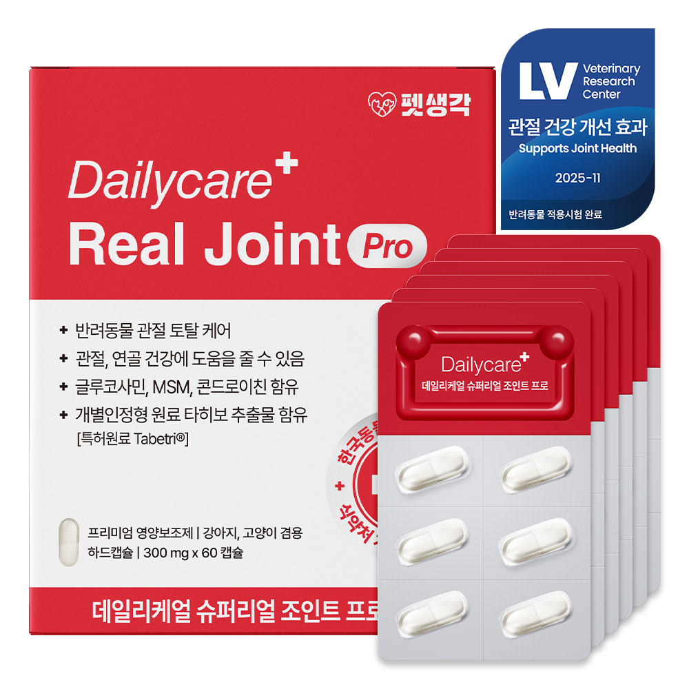 강아지 관절 건강을 위한 영양제, 이렇게 선택하세요!