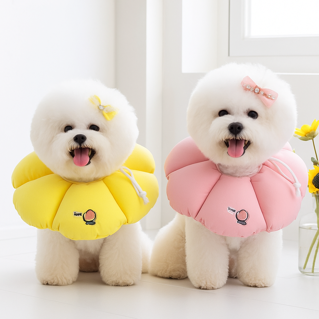 반려동물 넥카라, 이렇게 선택하면 좋아요! 강아지와 고양이 모두 안전하게 보호하는 방법