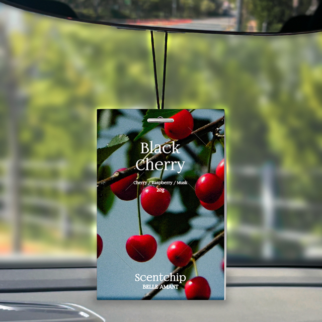 차량 내부를 산뜻하게! 벨르아망 센트칩 방향제 추천