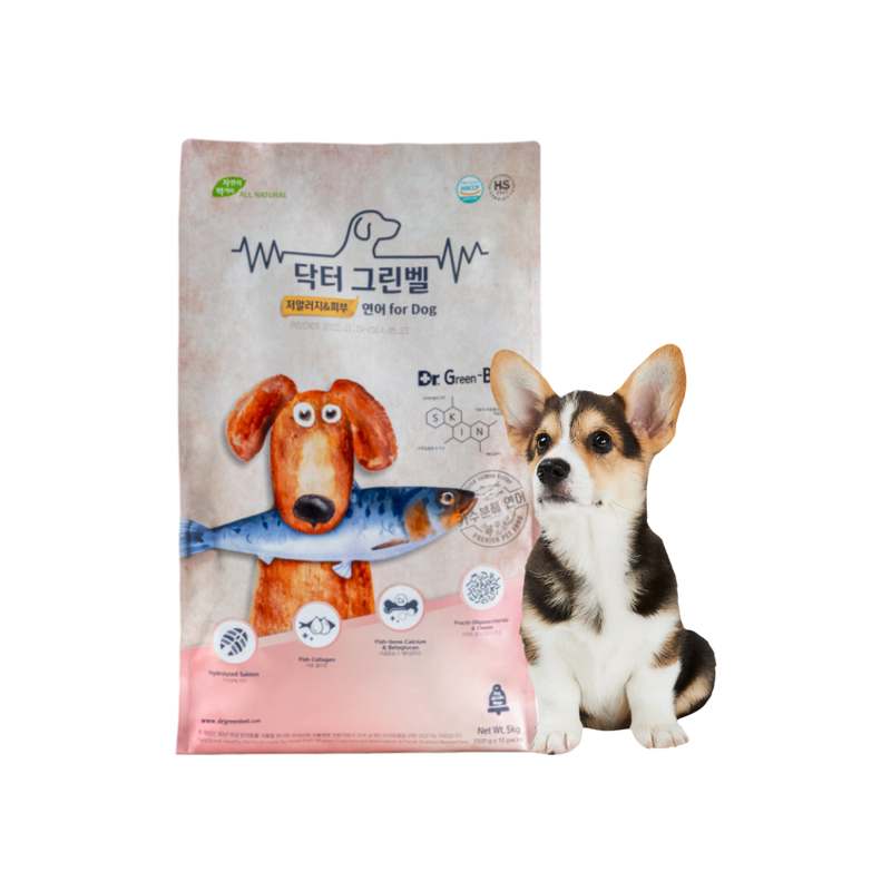 강아지 건강을 위한 연어 사료, 이렇게 선택하세요!