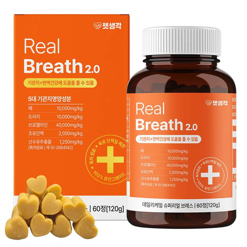 강아지 건강을 위한 기관지 영양제, 이렇게 선택하세요!