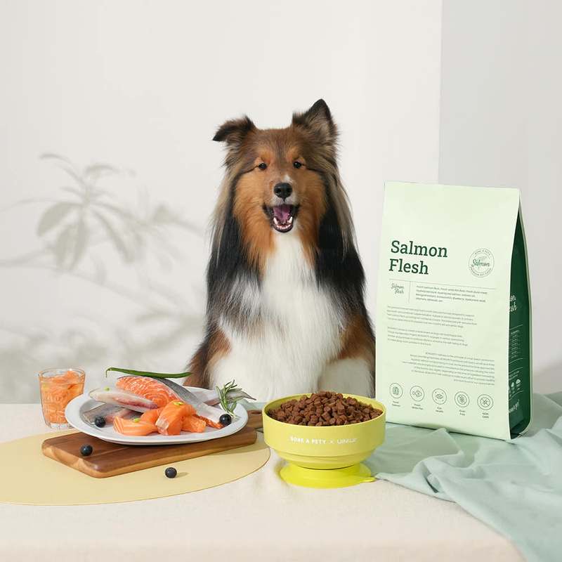 강아지 눈 건강을 위한 수제 사료, 자연스럽게 챙기기 좋은 연어 스팀 저알러지 제품