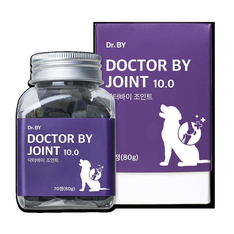 강아지 관절 건강, 이렇게 챙기면 좋아요! 친근한 관절 영양제 추천