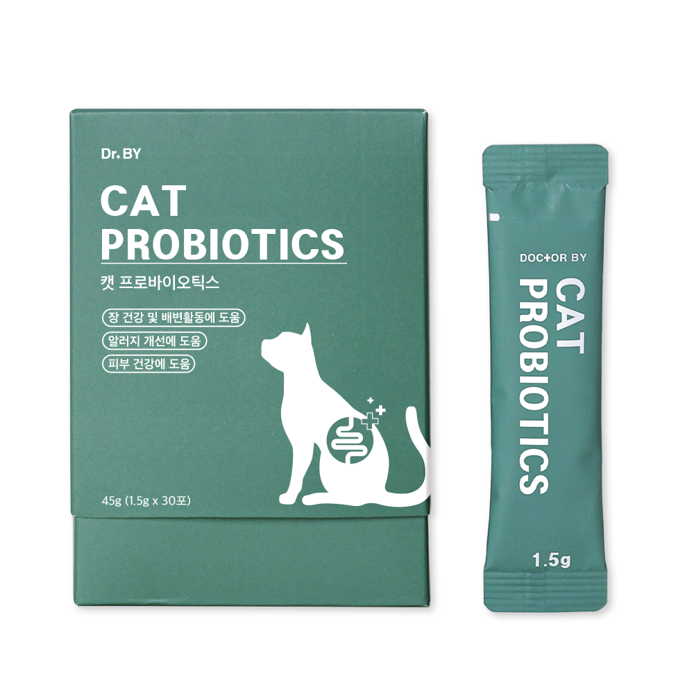 고양이 건강을 위한 유산균, 이렇게 챙기면 좋아요!