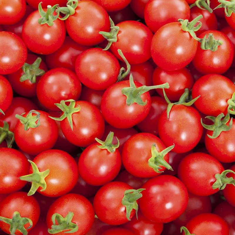 달콤하고 신선한 방울토마토로 건강한 주스 만들어보세요!