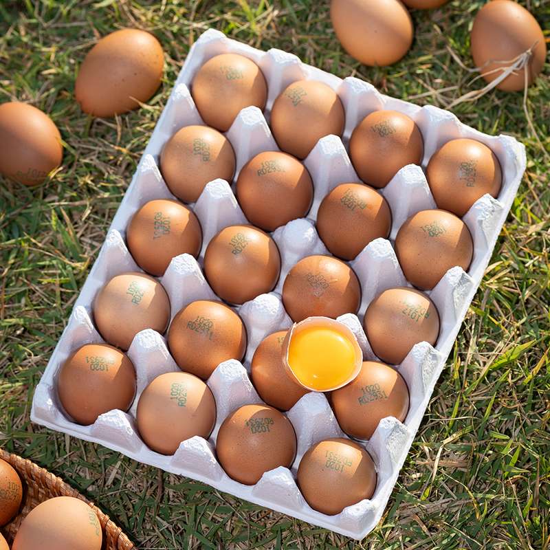 자연에서 온 신선한 계란, 유정란 20개 한 상자 어떠세요?