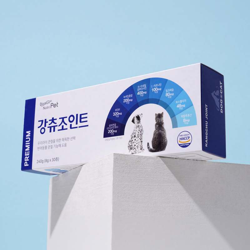 반려동물 건강을 위한 관절 영양제, 이렇게 선택하세요!
