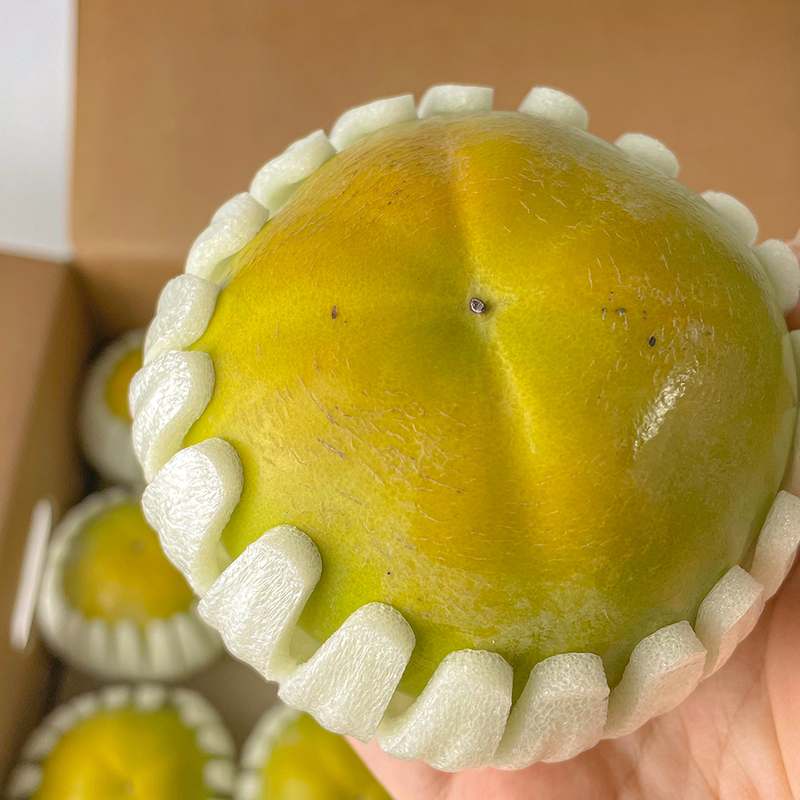 달콤하고 신선한 태추단감과 햇 배, 대추까지 한 번에 즐기기 좋은 과일 세트