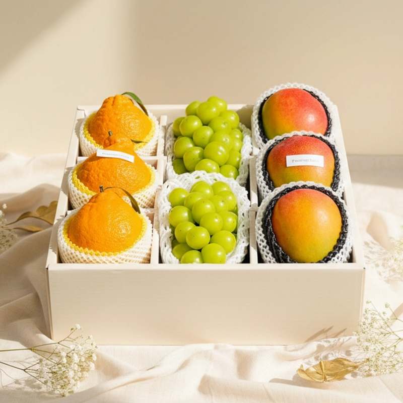 가족과 친지에게 딱 좋은 프리미엄 과일 선물세트 추천!