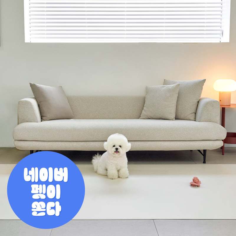 집에서 강아지와 고양이에게 딱 맞는 편안한 매트 추천!