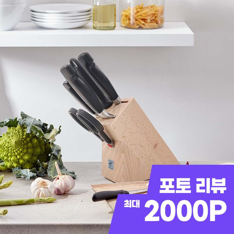 40년의 역사를 담은 즈윌링 포스타 블록 세트, 지금 만나보세요!