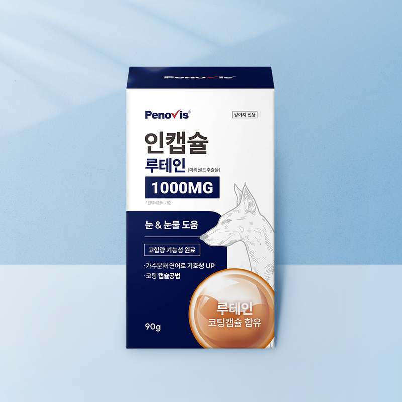 강아지 눈 건강을 위한 영양제, 이제 걱정 끝!