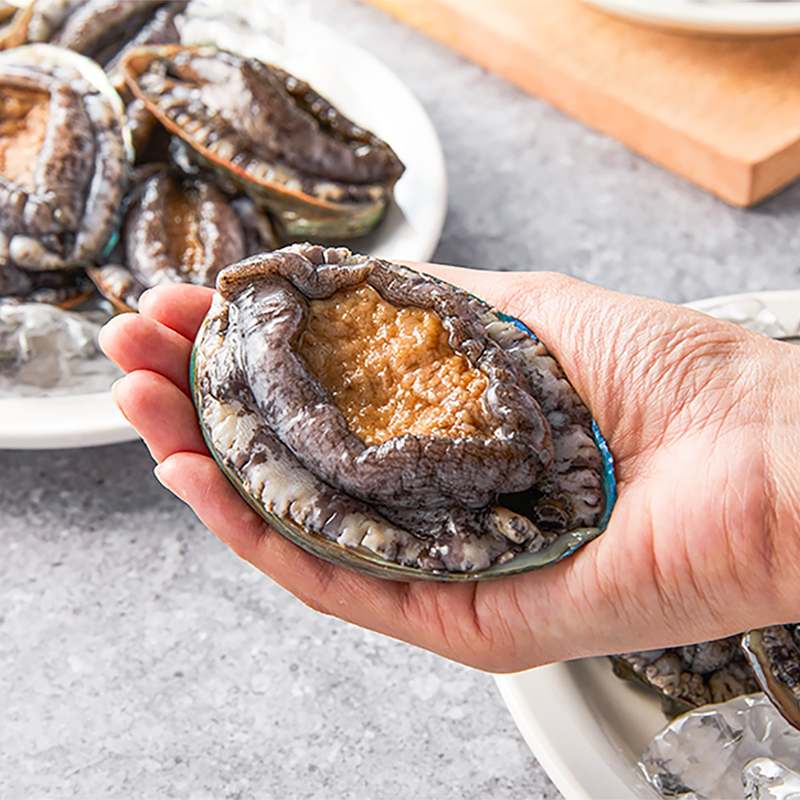 명절 선물로 딱! 신선한 전복 세트와 손질도구로 특별한 하루를 만들어보세요