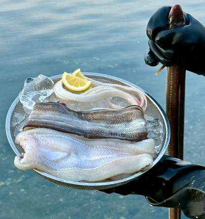 통영에서 잡은 자연산 손질 바다장어, 1kg 한 팩으로 즐기기