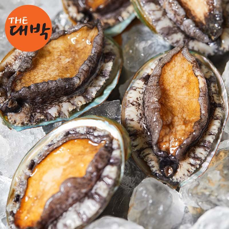 완도에서 맛보는 활 전복 보양식 선물세트, 복날에 딱 좋아요!