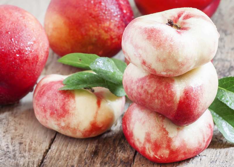 달콤한 복숭아, 다양한 품종과 신선함을 한눈에 만나보세요!