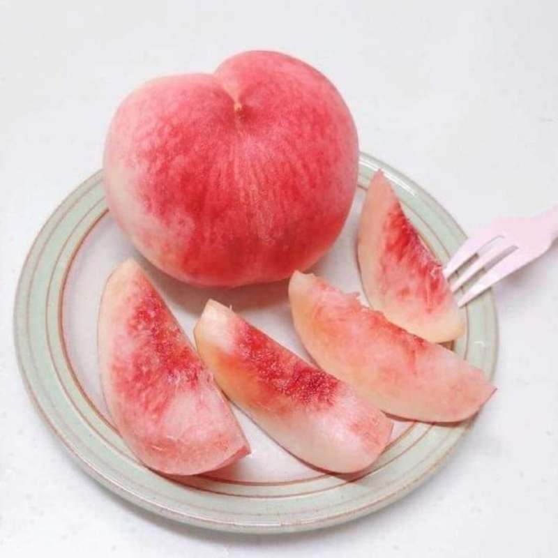 달콤한 복숭아와 황도, 신선한 물복숭아까지! 여름철 과일 추천