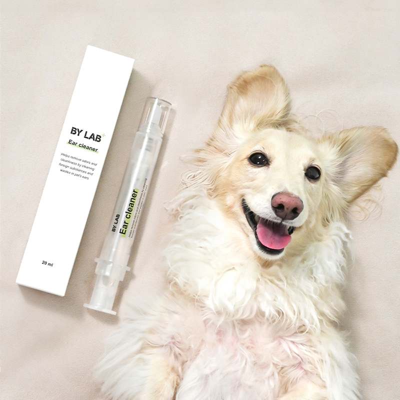 강아지 귀 관리, 이렇게 쉽고 간편하게 할 수 있어요!
