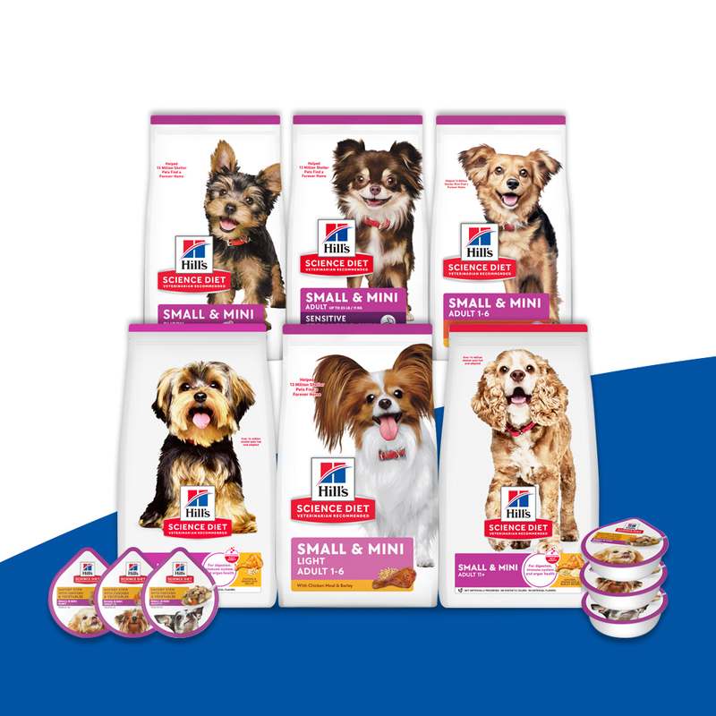 작은 강아지에게 딱 맞는 힐스 사료, 어떤 점이 좋을까?