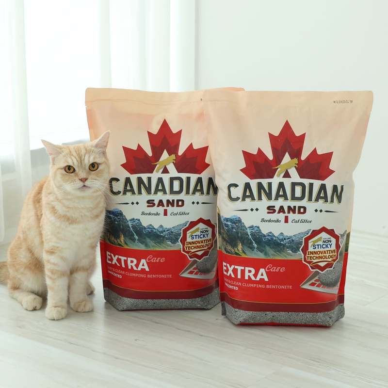 고양이 모래, 캐네디언샌드 벤토나이트로 깔끔하게 관리하는 방법