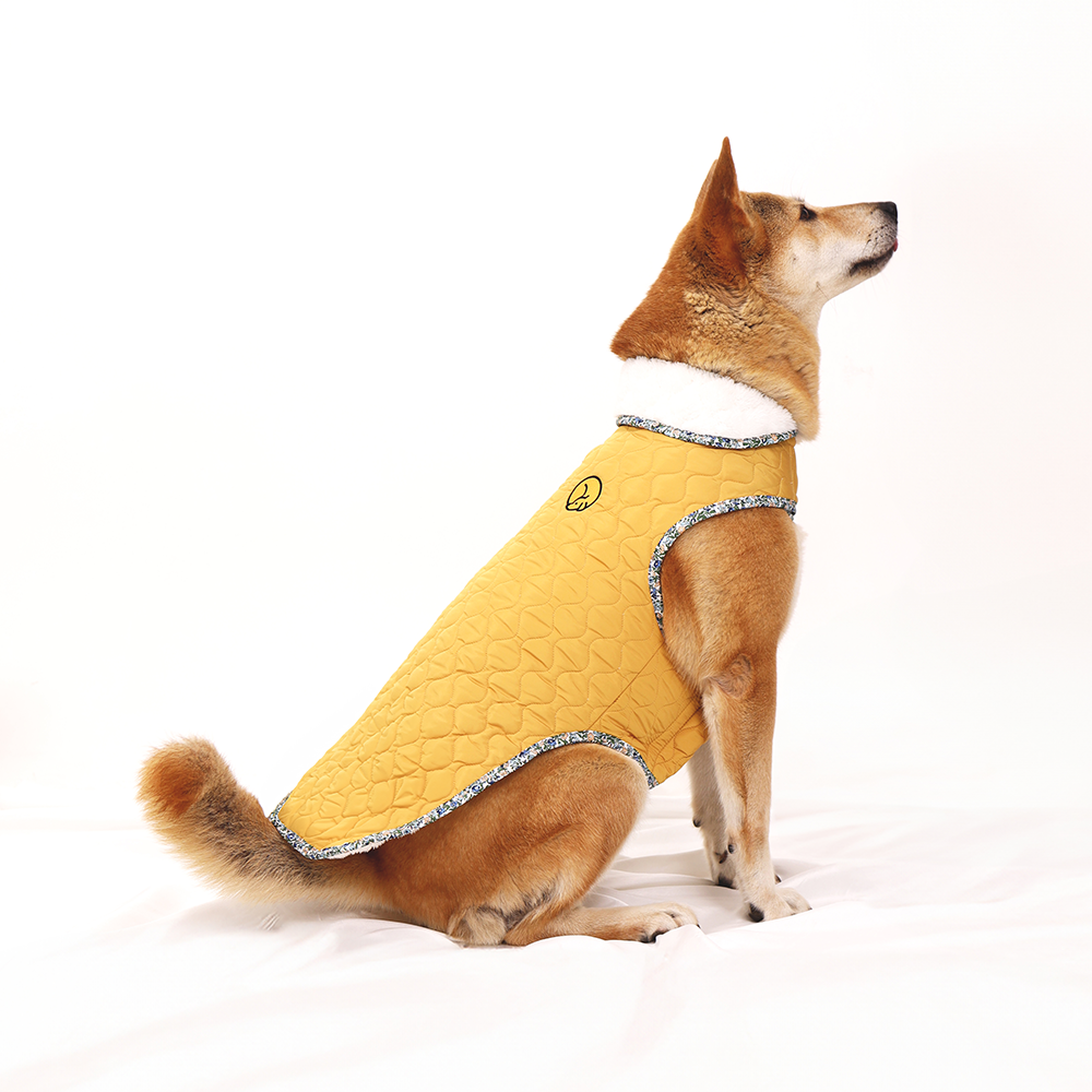 포근한 겨울 강아지 조끼, 대형견도 따뜻하게 입어요!