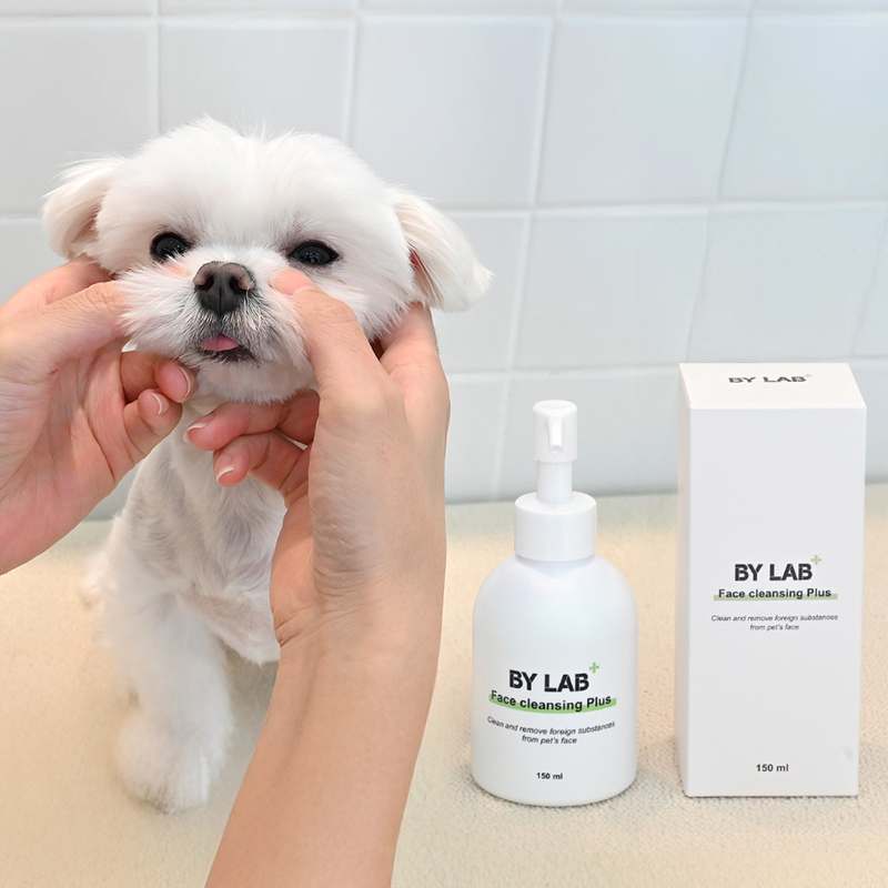 강아지 얼굴 세정에 딱! 페이스 클렌징 플러스 소개와 사용 팁