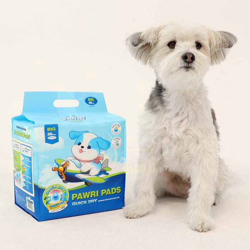 일상에서 편하게 쓰는 대형 배변패드 추천, 포우리 퀵드라이 후기