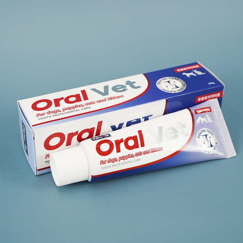 반려동물 입냄새 걱정 끝! 간편하게 구취 제거하는 방법