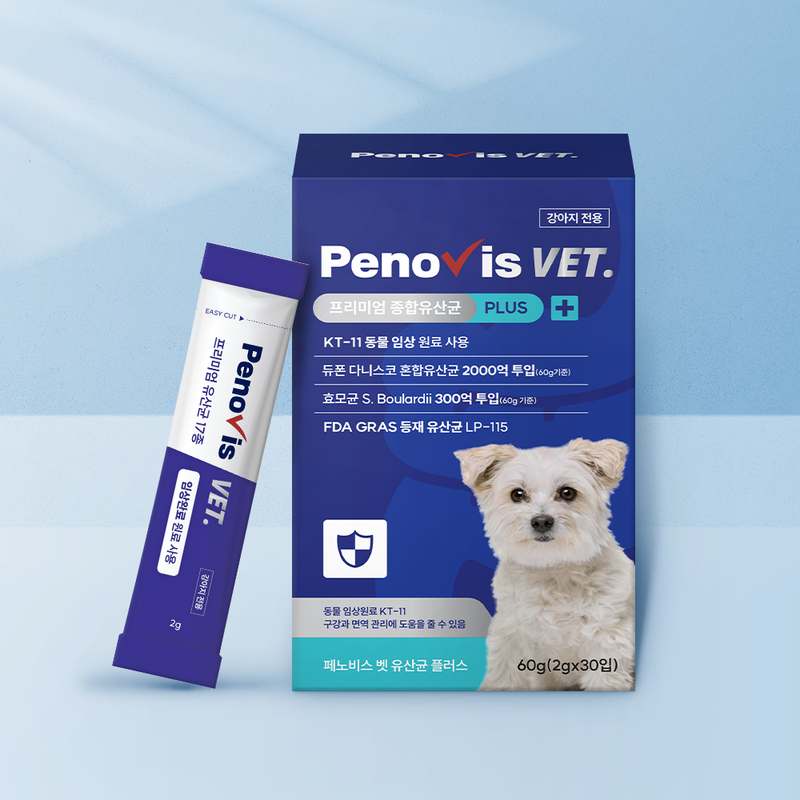 우리 강아지 건강을 위한 유산균 선택, 이렇게 해보세요!