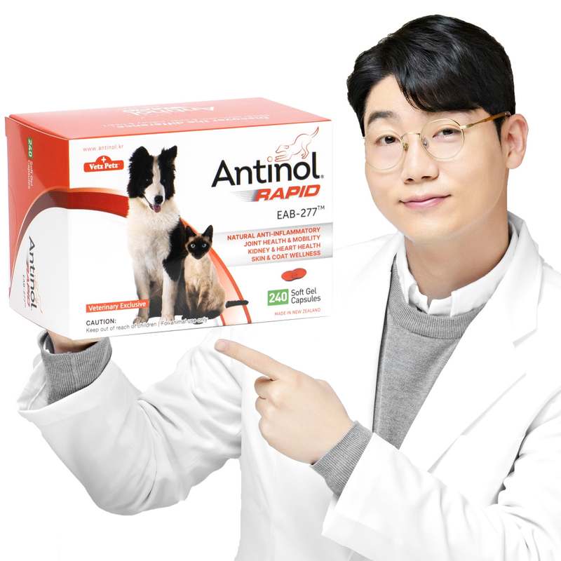 반려동물 관절 건강, 이렇게 챙기면 좋아요! 강아지와 고양이 영양제 추천