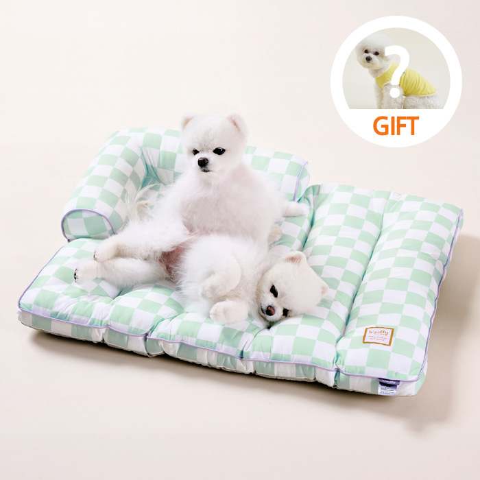 더운 여름철 강아지와 고양이도 시원하게! 울리 쿨링 필로우 추천