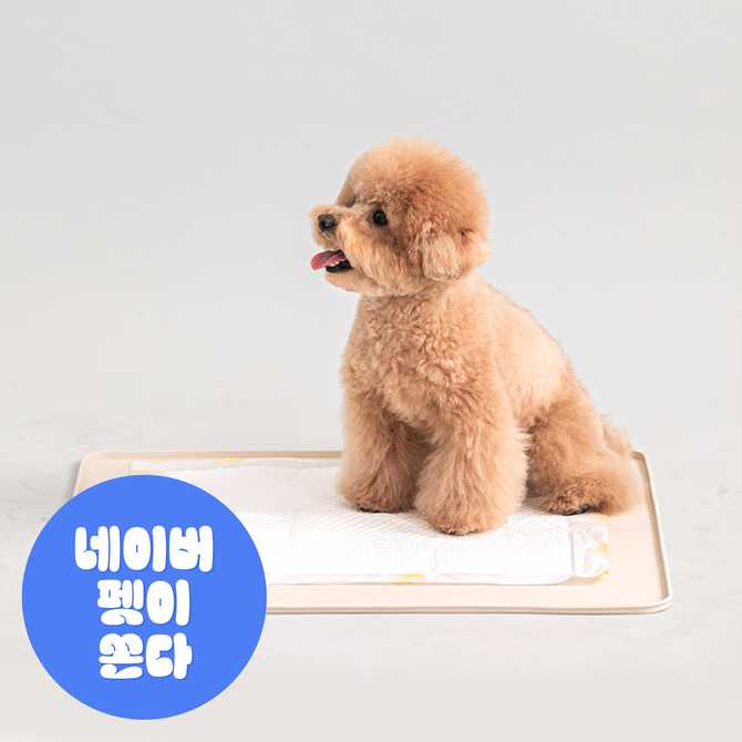 강아지 배변 훈련에 딱 좋은 실리콘 배변매트, 한번 살펴보세요