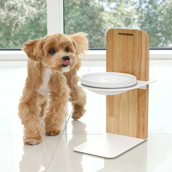 집에서 편하게 사용할 수 있는 원목과 철제 높이 조절 강아지밥그릇