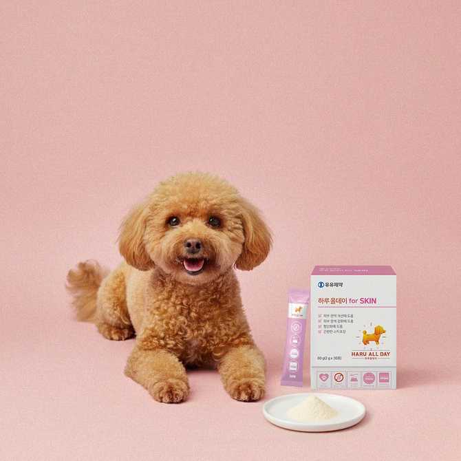 반려견 피부 건강을 위한 영양제, 어떤 제품이 좋을까?