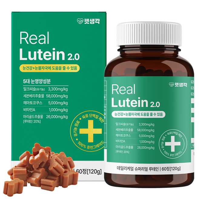 강아지 눈 건강을 위한 영양제, 어떤 제품이 좋을까?