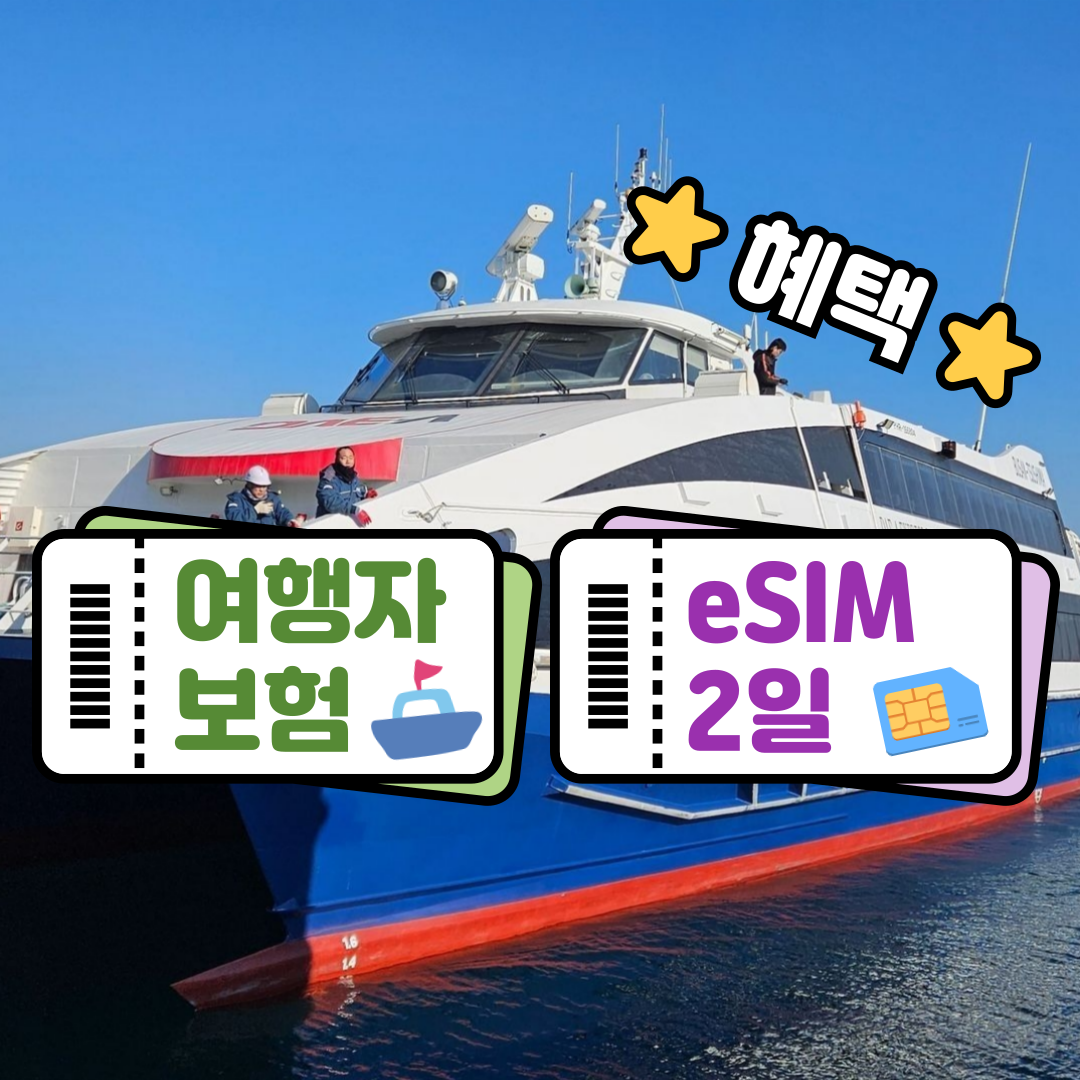 대마도 하루 여행, 배 타고 떠나는 1박 2일 자유 일정 추천!