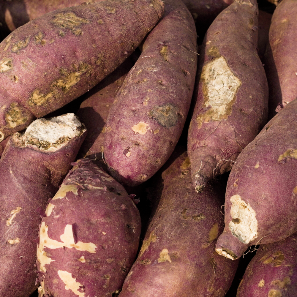 저렴하게 즐기는 고구마 10kg, 알뜰하게 구매하는 방법