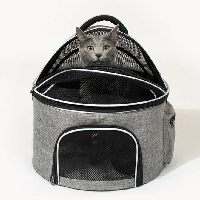 편리하게 이동하는 고양이 가방, 이렇게 선택하세요