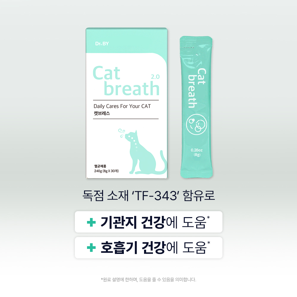고양이 건강을 위한 기관지 영양제, 이렇게 선택하세요!