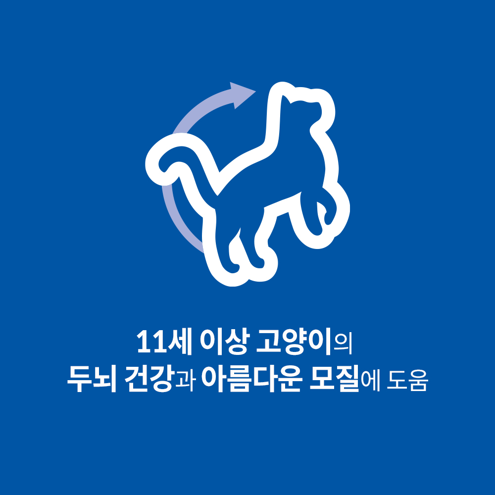 고양이 사랑하는 분들을 위한 힐스 노령묘 사료 추천! 편하게 알아보세요