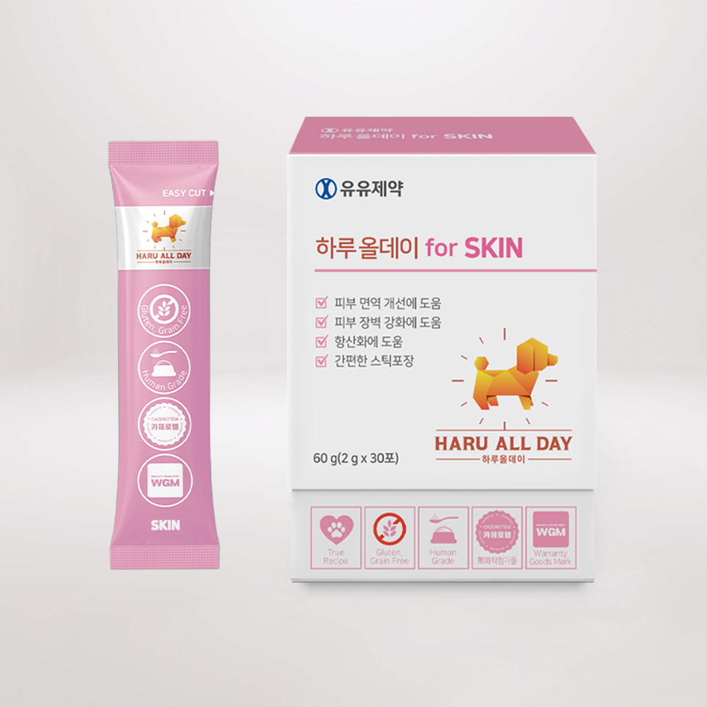 반려견 피부 건강을 위한 하루 한 알, 강아지 영양제 추천