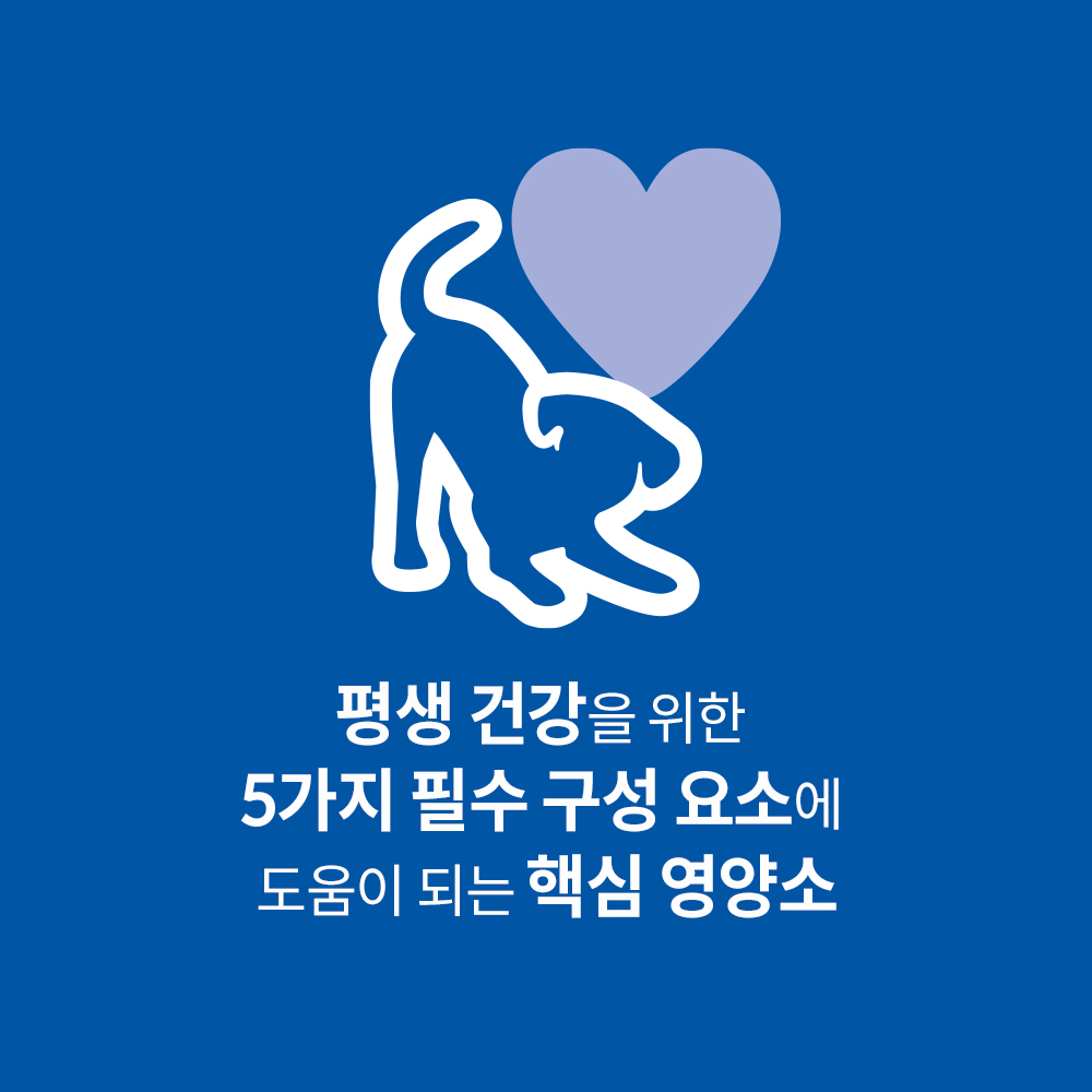 강아지에게 딱 맞는 작은 크기 사료, 힐스 퍼피 스몰 앤 미니 1.5kg 추천!