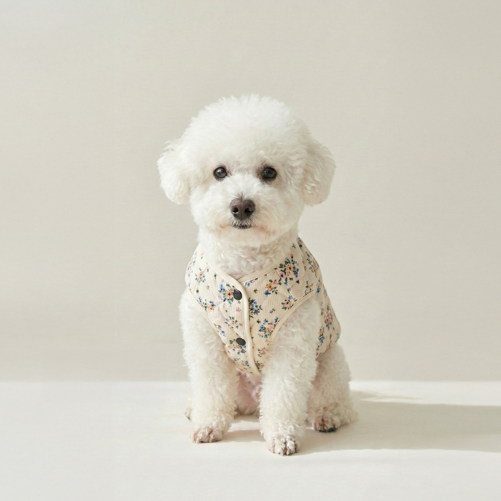 우리 강아지와 고양이에게 딱 맞는 따뜻한 조끼 추천!